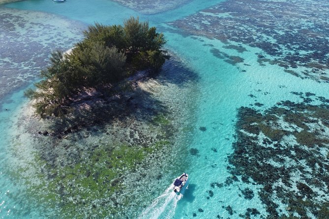 Snorkeling excursion, discovery of the lagoon, small group. - Stingray Sandbank Moments and Blacktip Reef Sharks