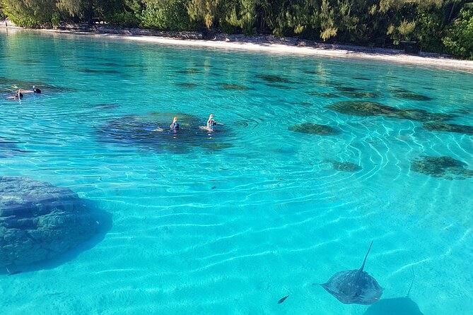 Snorkeling excursion, discovery of the lagoon, small group. - Two Reef Snorkel Stops for Coral, Clams, and Reef Fish