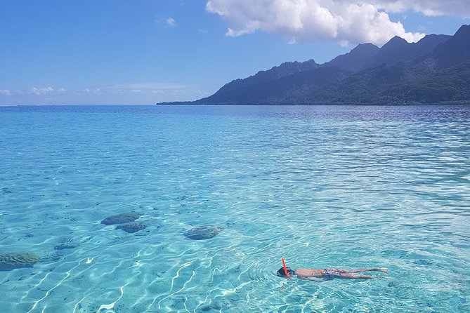 Snorkeling excursion, discovery of the lagoon, small group. - What’s Included, What You Need to Bring for a Smooth Snorkel