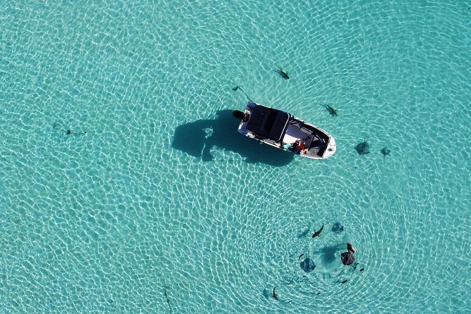 Snorkeling excursion, discovery of the lagoon, small group. - Price and Value: Is $118.46 Worth It?