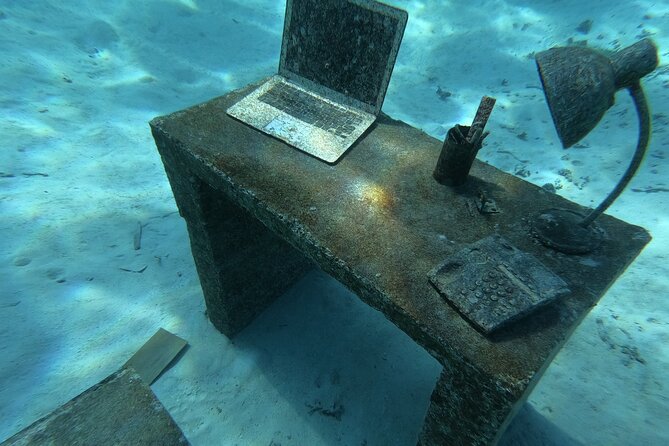 Snorkeling picnic in 4h30 with lunch in Tahiti - The sandbank picnic: turquoise water, sting rays, and a meal you can smell