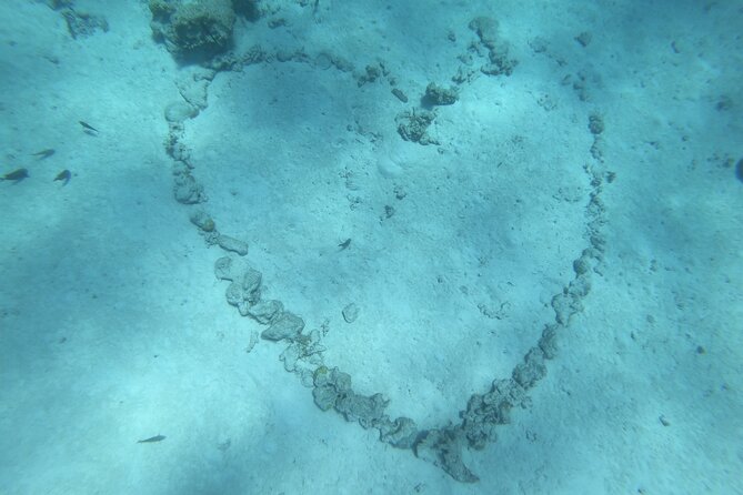 Snorkeling picnic in 4h30 with lunch in Tahiti - Crew personalities that shape the day: Sham, Moana, Tapu, France