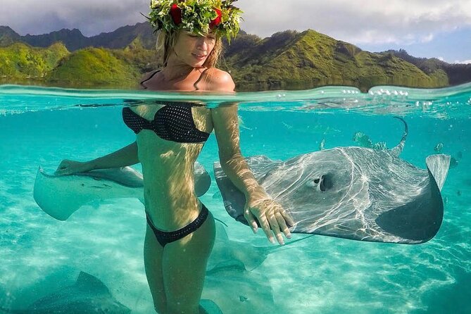 Snorkeling Safari Moorea (Half Day Tour) - Key moments at a glance