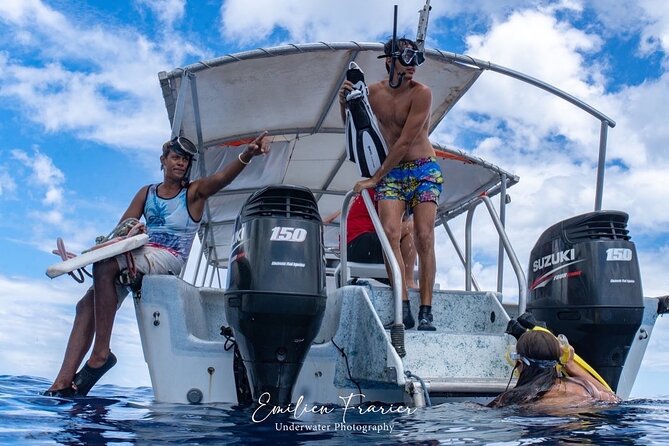 Snorkeling Safari Moorea (Half Day Tour) - The sandbar wildlife time: turtles, stingrays, and blacktip reef sharks