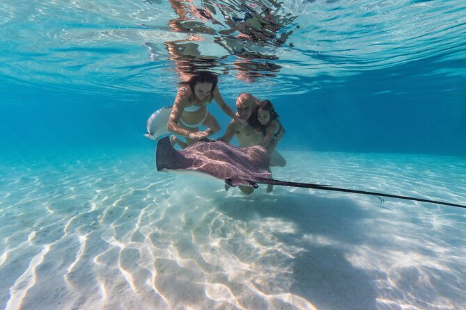 Snorkeling Tour in Moorea Aquatic Adventure Half Day - Key highlights you should care about