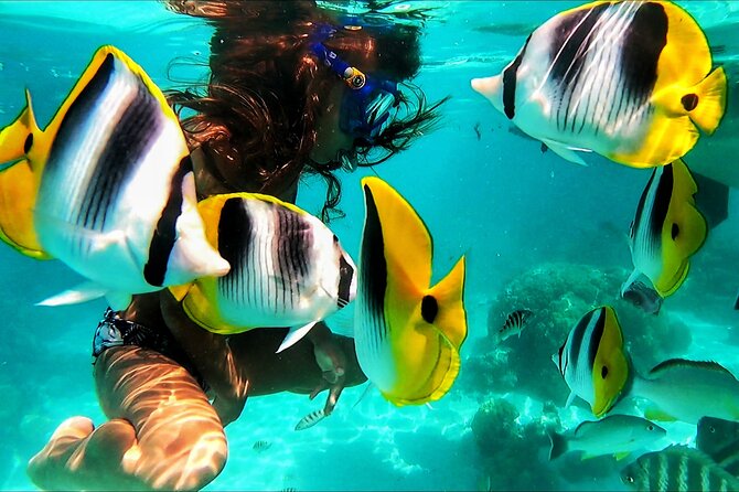Snorkeling Tour in Moorea Aquatic Adventure Half Day - Small group snorkeling: the comfort and attention trade-off you want
