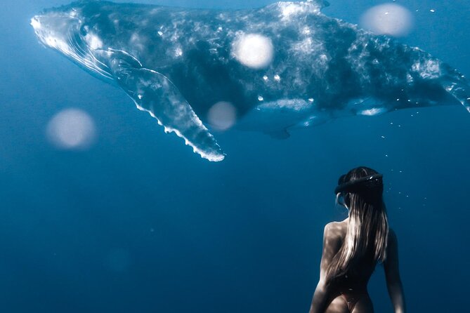 Swimming with Whales in Moorea (Half Day tour) - Entering the water: swimming skills and safety rules that matter