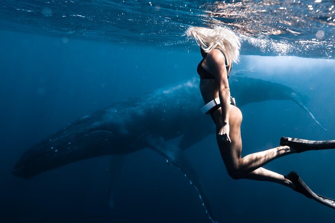 Swimming with Whales in Moorea (Half Day tour) - Gear included, what you still need, and how to pack smart