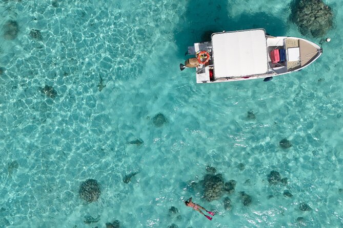 Taha'a Island or Raiatea Boat Tour - Vanilla Prod’s Shop: learning why Tahaa vanilla is famous