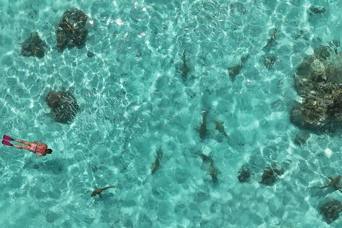 Taha'a Island or Raiatea Boat Tour - Iaorana Pearl Farm: why the pearl stop is the crowd favorite