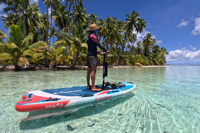 Tahaa Excursion in Electric Paddle Snorkeling Coral Garden - Key highlights I think you will care about