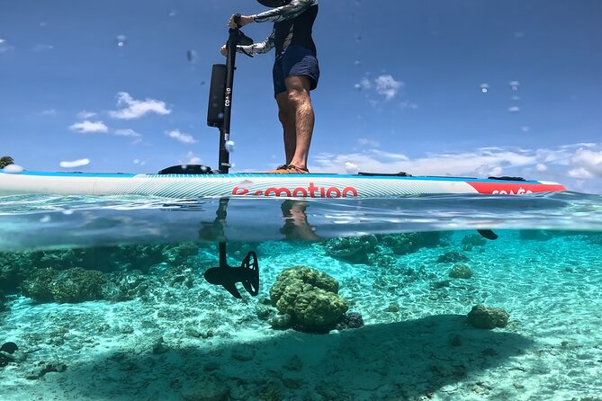 Tahaa Excursion in Electric Paddle Snorkeling Coral Garden - Why an electric paddleboard changes the whole lagoon feel