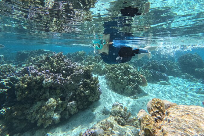 Tahaa Excursion in Electric Paddle Snorkeling Coral Garden - The lagoon route around Tahaa and the view toward Raiatea