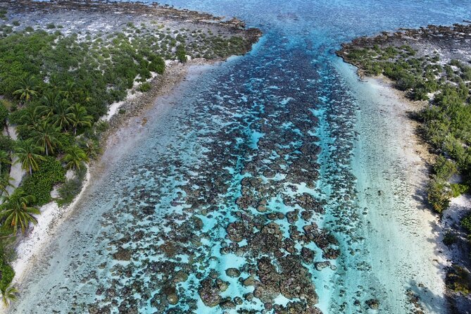 Tahaa Excursion in Electric Paddle Snorkeling Coral Garden - What small-group size really changes on this tour