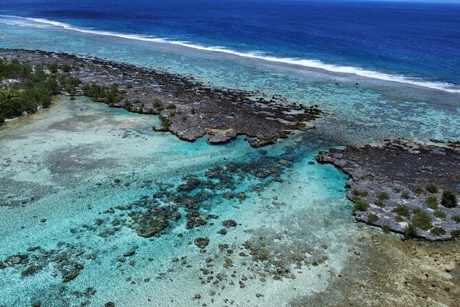 Tahaa Excursion in Electric Paddle Snorkeling Coral Garden - Price and value: is $128.23 worth it?