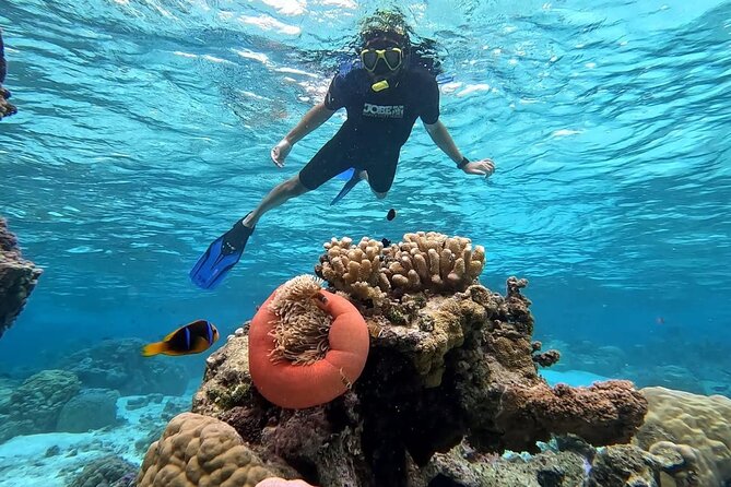 Tahaa: Kayaking Rental - Coral Garden - Snorkeling - Using your time: optional snorkeling and a calm return