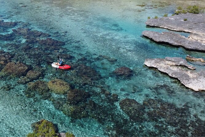 Tahaa: Kayaking Rental - Coral Garden - Snorkeling - Price and value: what $36.44 buys you