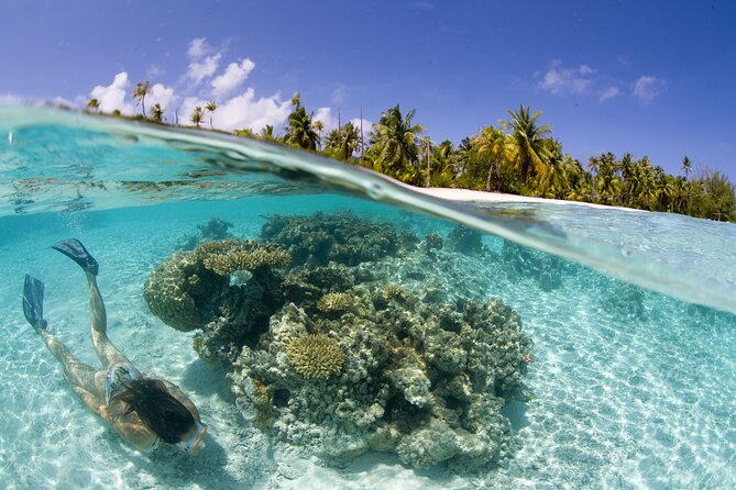 Tahaa Lagoon Tour -Departure Raiatea-Small groups (max 12 p) - Vanilla Valley and Rum Stop: Smells, Tasting, and Island Work
