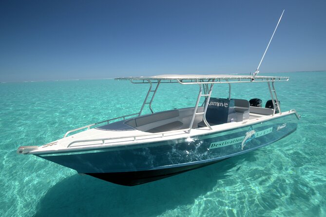 Tahaa Lagoon Tour -Departure Raiatea-Small groups (max 12 p) - Tau Tau Coral Garden Snorkeling, Including the Shark Moment