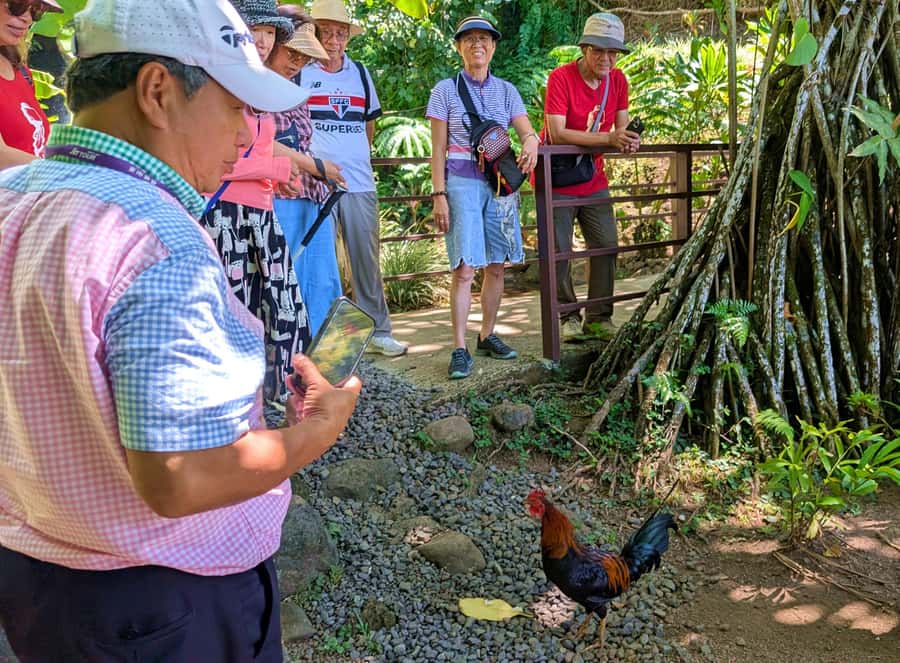 Tahiti Classical Coastal Full Day Private Tour - Pickup in Papeete, then a comfortable van day with headsets