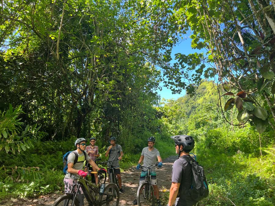 Tahiti E-bike, mtb, vtt Tour with Swimming and Lunch - 6 Big Reasons the Titaaviri E-Bike Tour Feels Worth It