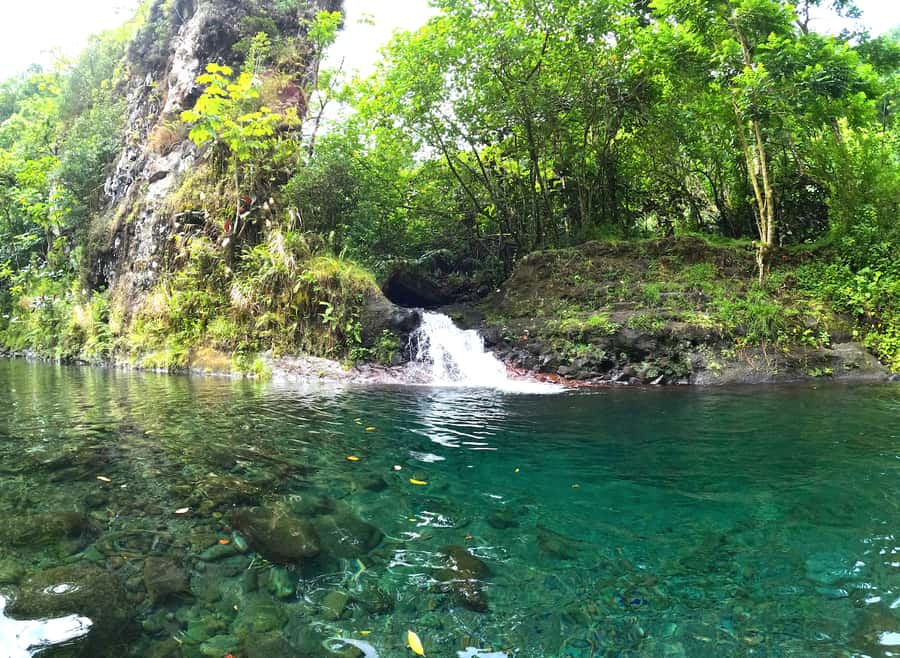 Tahiti E-bike, mtb, vtt Tour with Swimming and Lunch - Entering the Titaaviri Valley: E-Bike Style in French Polynesia