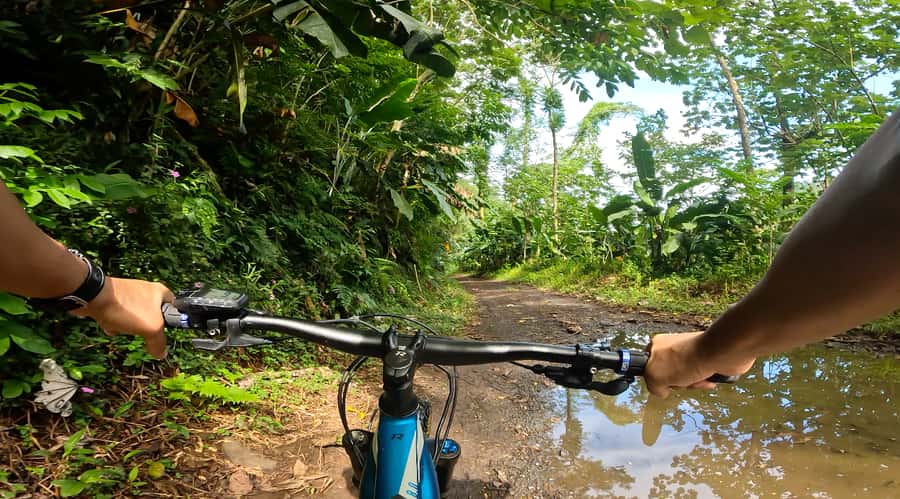 Tahiti E-bike, mtb, vtt Tour with Swimming and Lunch - The Black Sand Pool Stop: Swimming That Breaks the Climb