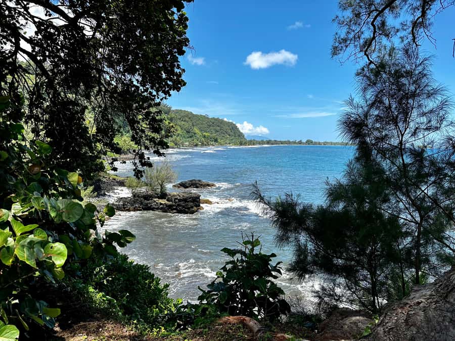 Tahiti: East or West coast tour (Half Day) - Key Things You’ll Notice on This Half-Day Tour