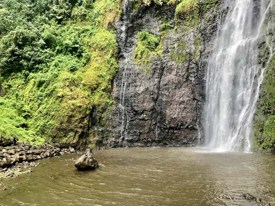 Tahiti: East or West coast tour (Half Day) - West Coast Route: Maraa Caves, Surf Spots, Vahipai Water Garden