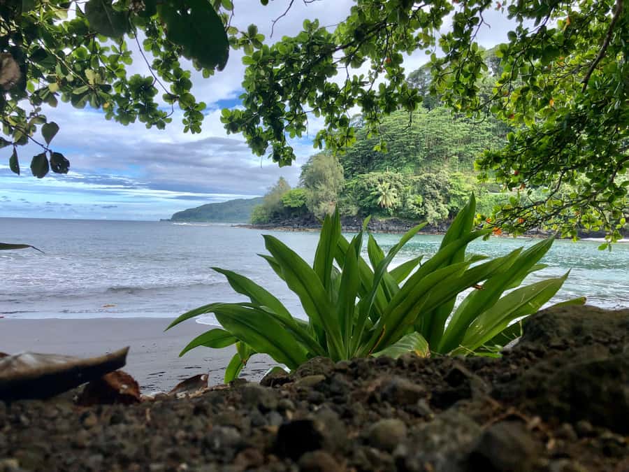 Tahiti: East or West coast tour (Half Day) - Black-and-White Sand Beaches and Trou du Soufleur