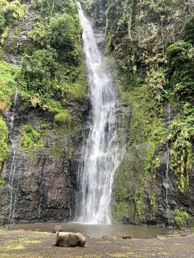 Tahiti: East or West coast tour (Half Day) - Who This Tour Suits Best (and Who Should Skip It)