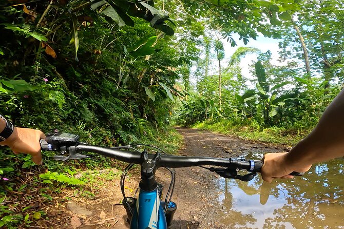Tahiti excursion adventure circuit MTB MTB E-Bike private valley - Lunch and a black-sand swim at the Bassin du Roi catchment
