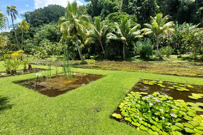 Tahiti Full Day Private Coastal Tour - Why this Tahiti full-day coastal tour is such a smart first move
