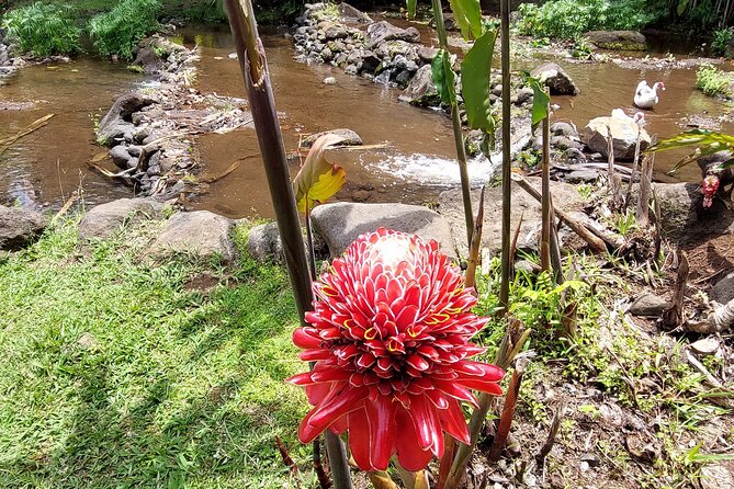 Tahiti Full Day Private Coastal Tour - Fa’aone and Faarumai waterfalls: nature, plus a spiritual note