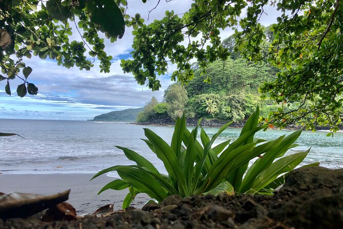 Tahiti: Full Day Tour with Private Flight EN Cessna (Moorea & Tahiti) - Faarumai Waterfalls: three drops, countryside feel