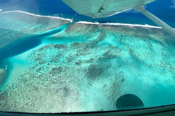 Tahiti: Full Day Tour with Private Flight EN Cessna (Moorea & Tahiti) - Taharuu Beach: big black sand, and surfers on the west coast