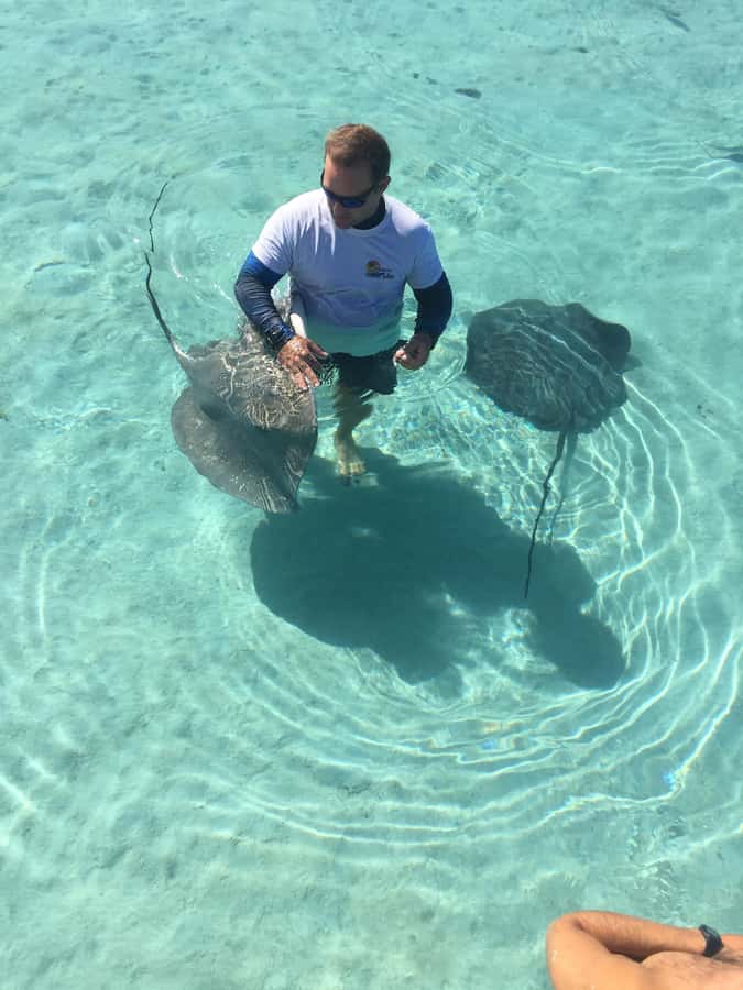 Tahiti island: 4 hours Snorkeling Tour - Key things that make this Tahiti tour worth your time
