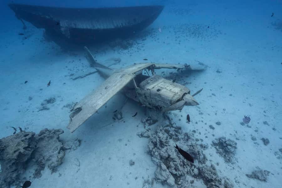 Tahiti island: 4 hours Snorkeling Tour - Freshwater springs and the coral garden swim
