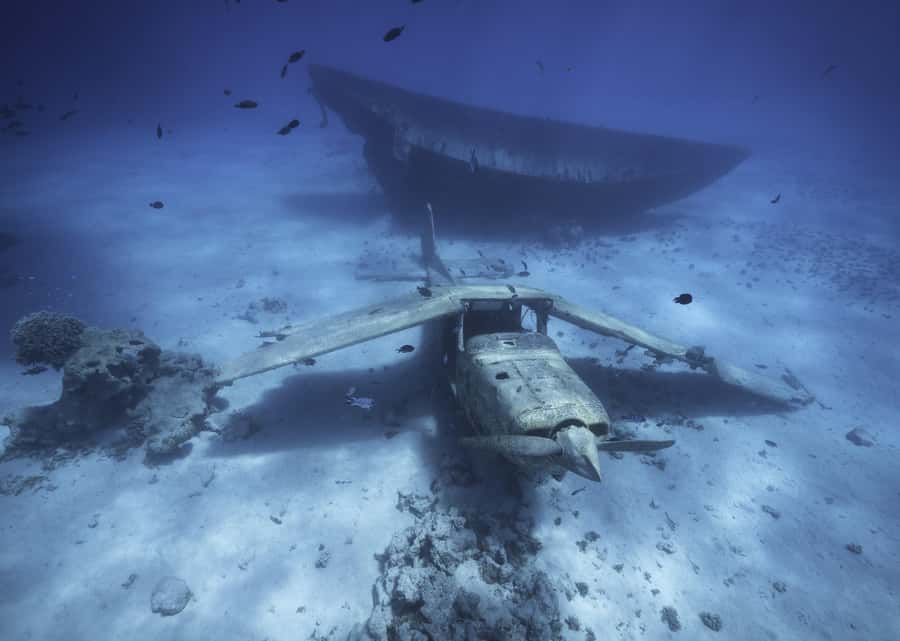 Tahiti island: 5 hours Snorkeling Picnic - Price, what is included, and pickup rules that can change your experience