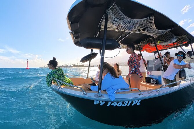 Tahiti Lagoon Snorkeling and Lunch Boat Tour (6 pax max) - Wildlife expectations: what you might see and how to spot it