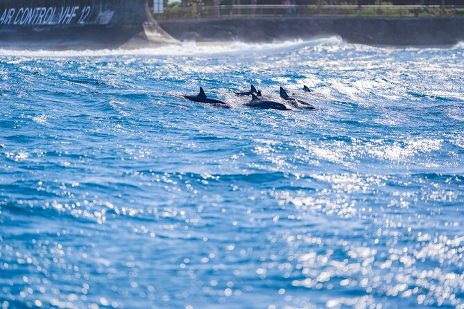 Tahiti Lagoon Snorkeling and Lunch Boat Tour (6 pax max) - Boat comfort: you’ll feel it when conditions shift