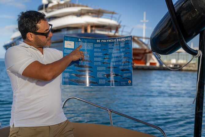 Tahiti Lagoon Snorkeling and Lunch Boat Tour (6 pax max) - Your 4.5 hour flow: what each stop is really doing