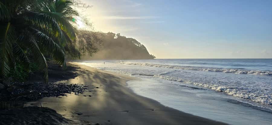 Tahiti: Northeast Coast Waterfalls&Viewpoints Half Day Tour - The northeast coast route that feels raw, not touristy