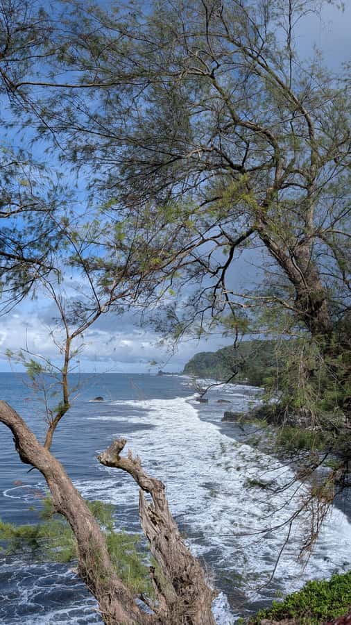 Tahiti: Northeast Coast Waterfalls&Viewpoints Half Day Tour - Motu Anapa and Pointe Tapahi: black sand, surf energy