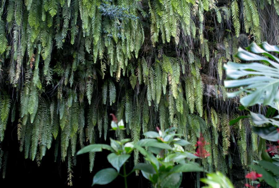 Tahiti: Private Half Day Culture and Nature Highlights Tour - Key things I’d prioritize on this tour