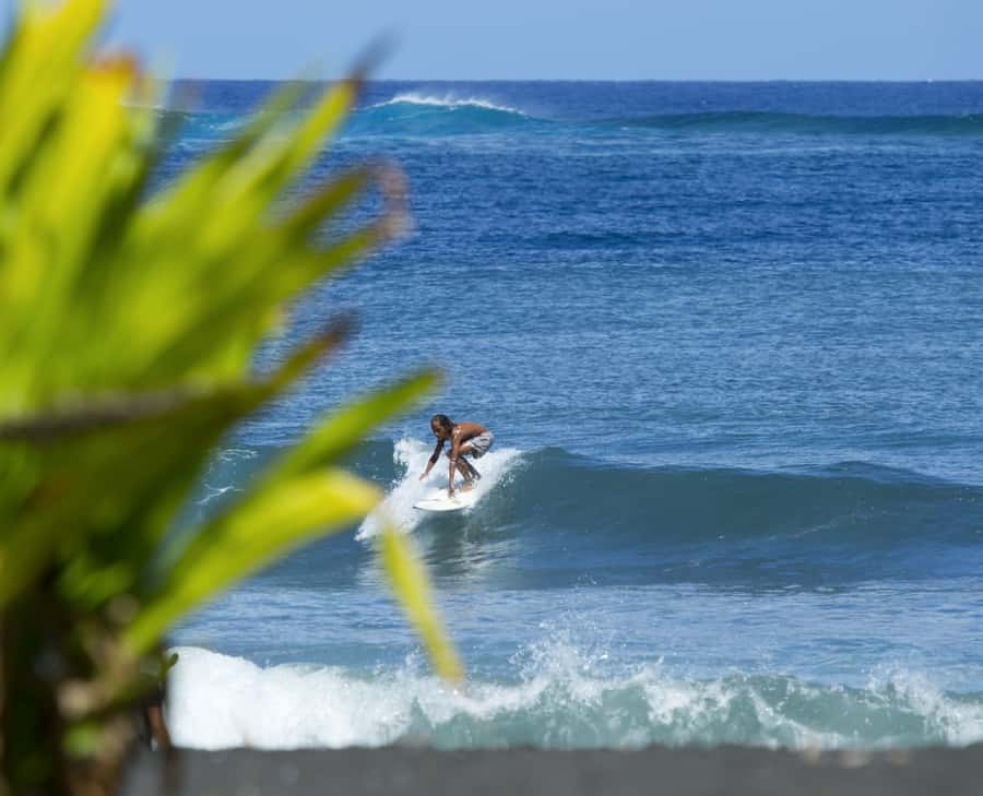 Tahiti: Private Half Day Culture and Nature Highlights Tour - The setup that makes this feel worth it