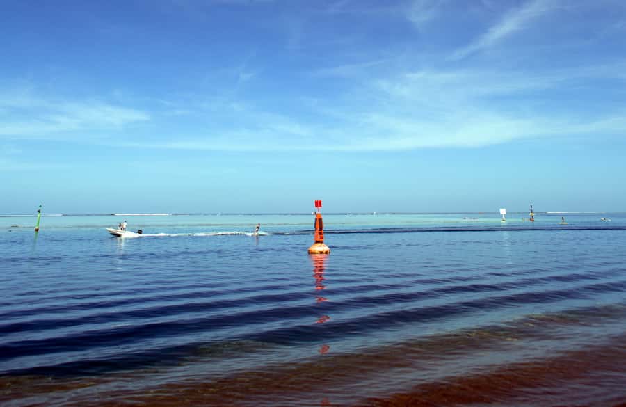 Tahiti: Private Half Day Culture and Nature Highlights Tour - Water Gardens of Vaipahi: where the senses take over