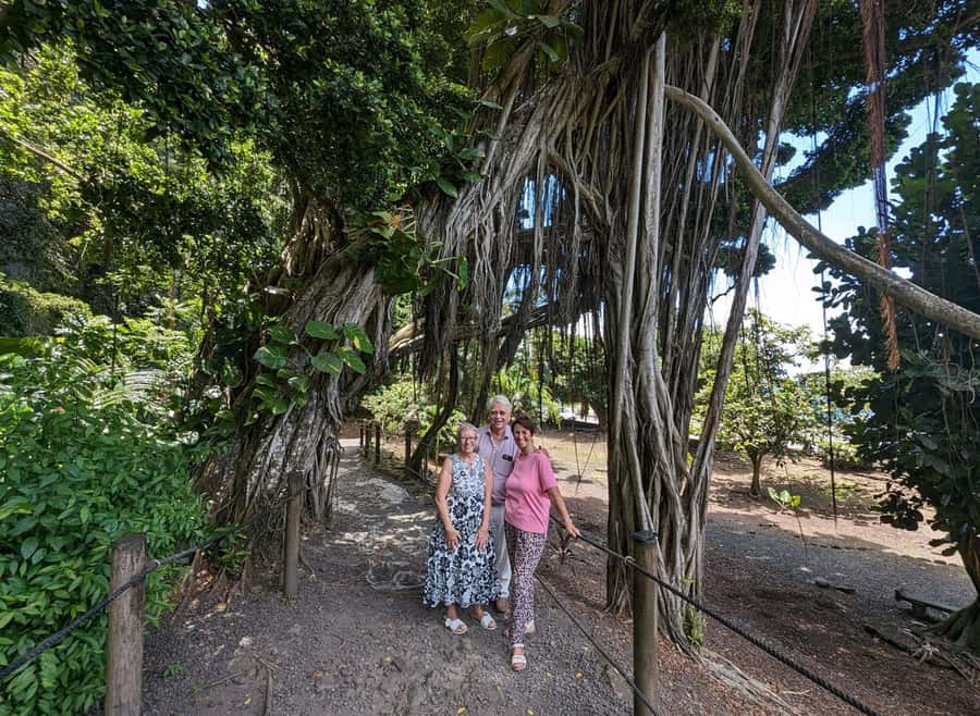 Tahiti Private Half Day Tour. Nature, history and culture - Point Venus and Matavai Bay: Ocean Views Plus Star Routes
