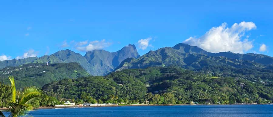 Tahiti Private Half Day Tour. Nature, history and culture - A Private 5-Hour Loop With Real Storytelling