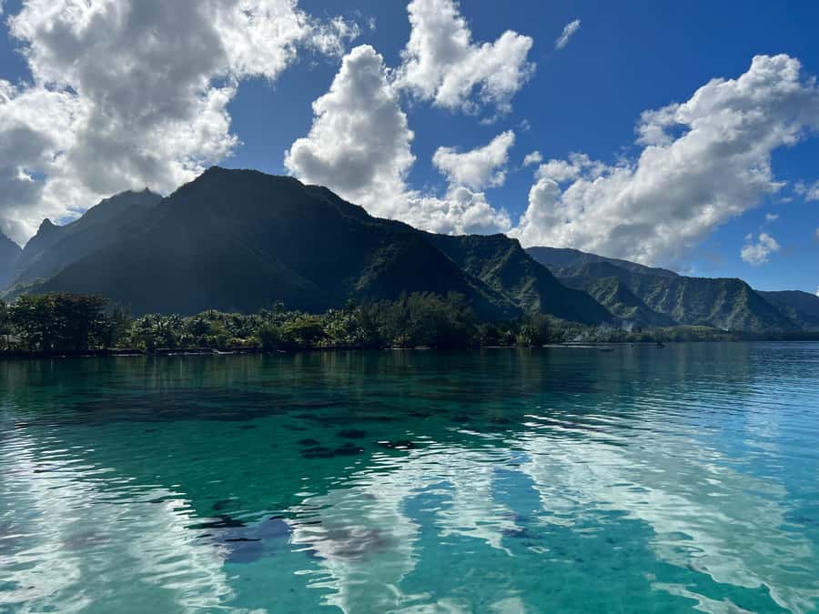 Tahiti: Teahupoo Wave Watching Tour - Should You Book Teahupoo Wave Watching With Teahupoo Adventures?